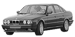 BMW E34 P1389 Fault Code