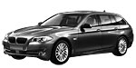 BMW F11 P1389 Fault Code